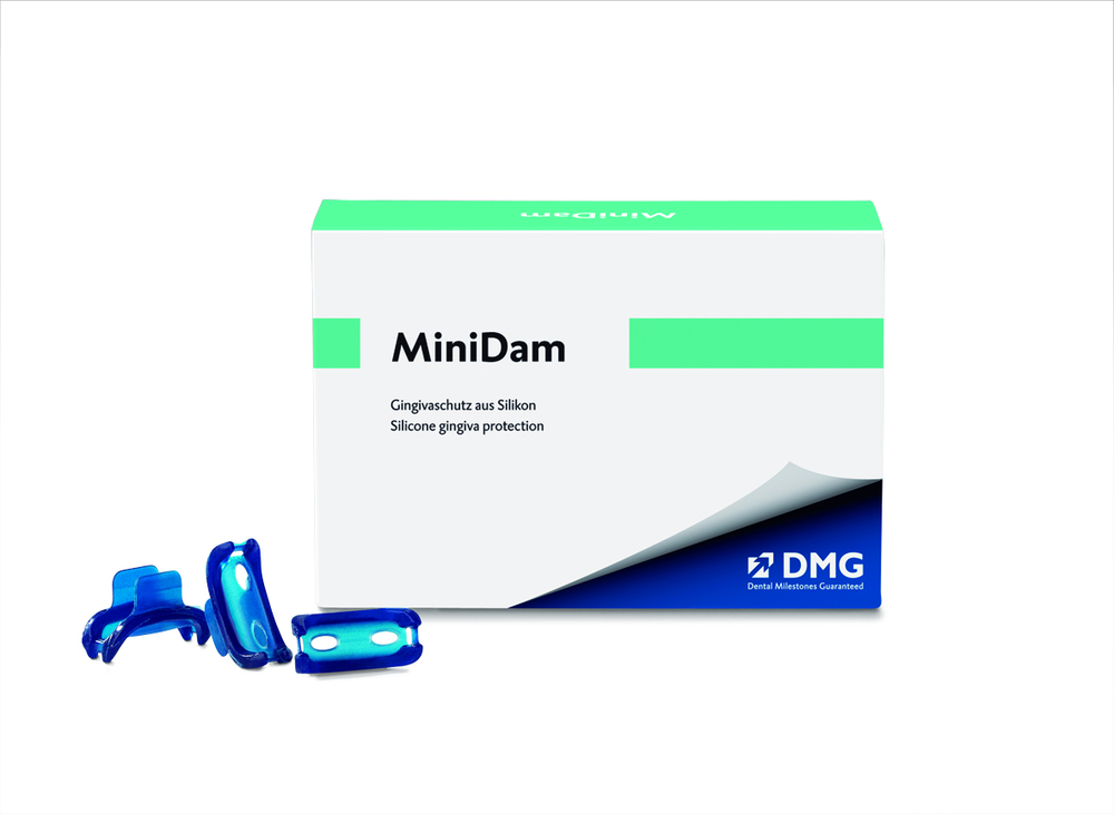 MiniDam
